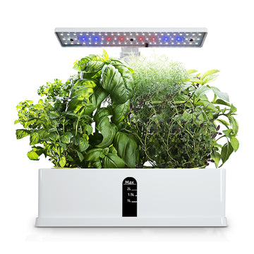 Hydroponics Indoor Growing System